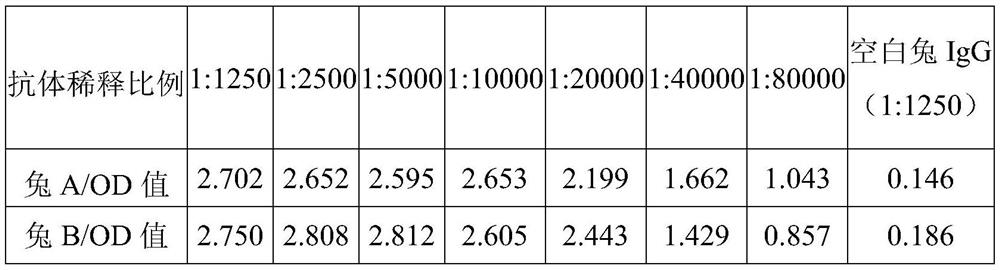 Tea tree anthocyanin reductase protein antigen polypeptide as well as antibody, detection kit and application thereof