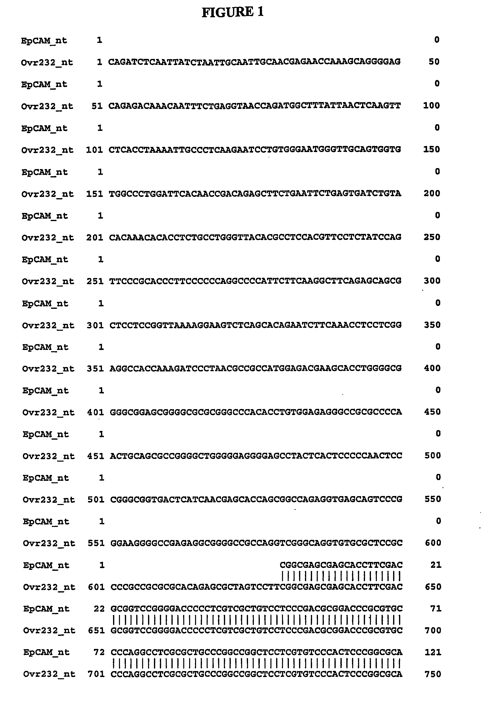 Composition, splice variants and methods relating to ovarian specific genes and proteins