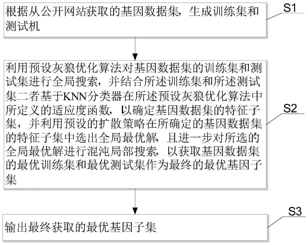 Grey wolf optimization algorithm gene selection method based on diffusion and chaotic local search