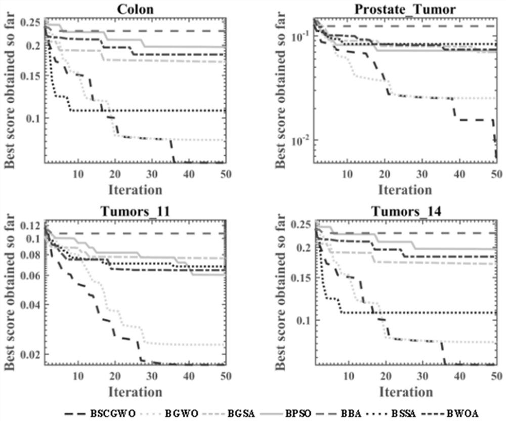 Grey wolf optimization algorithm gene selection method based on diffusion and chaotic local search