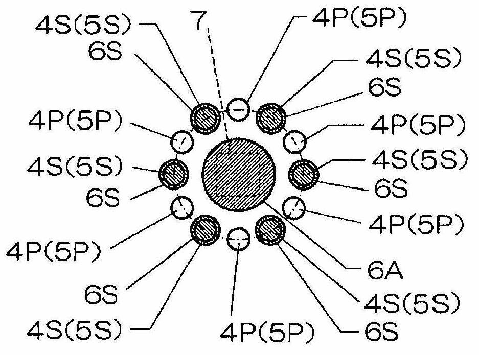 Skin observation device