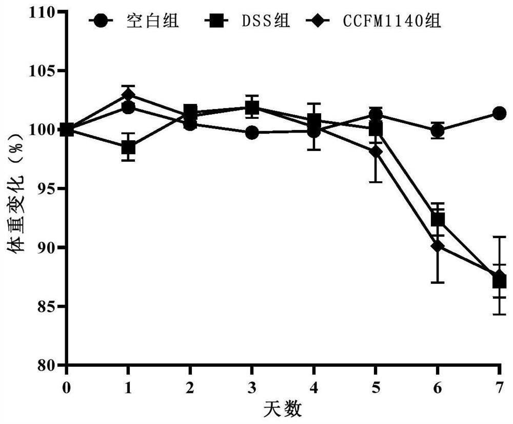 Rumen lactobacillus capable of protecting intestinal barriers and application