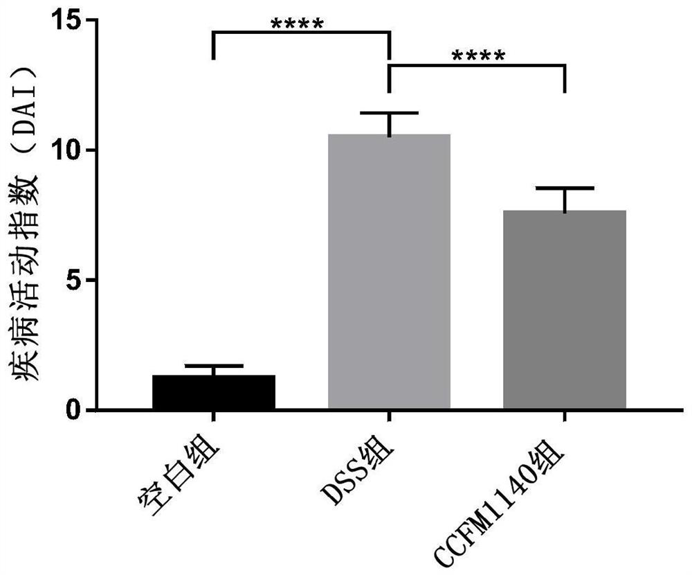 Rumen lactobacillus capable of protecting intestinal barriers and application