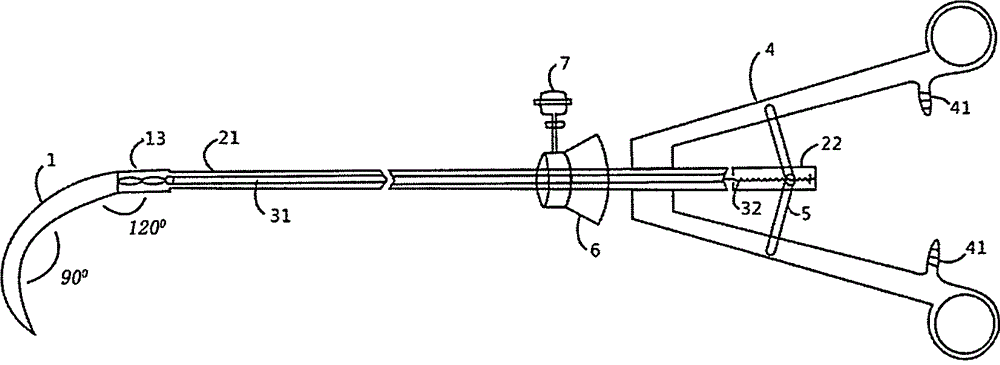 Inferior vena cava root blood vessel anatomic separating forceps applied to laparotomy