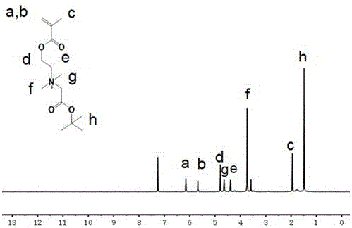 Zwitterionic polymer with reductive responding antitumor activity and synthesis thereof and application thereof as drug carrier