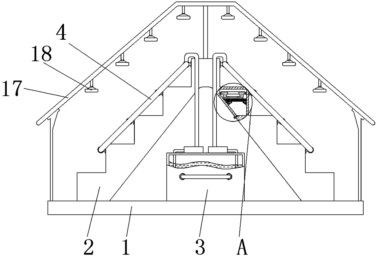 Soilless seedling raising system and method for pineapple