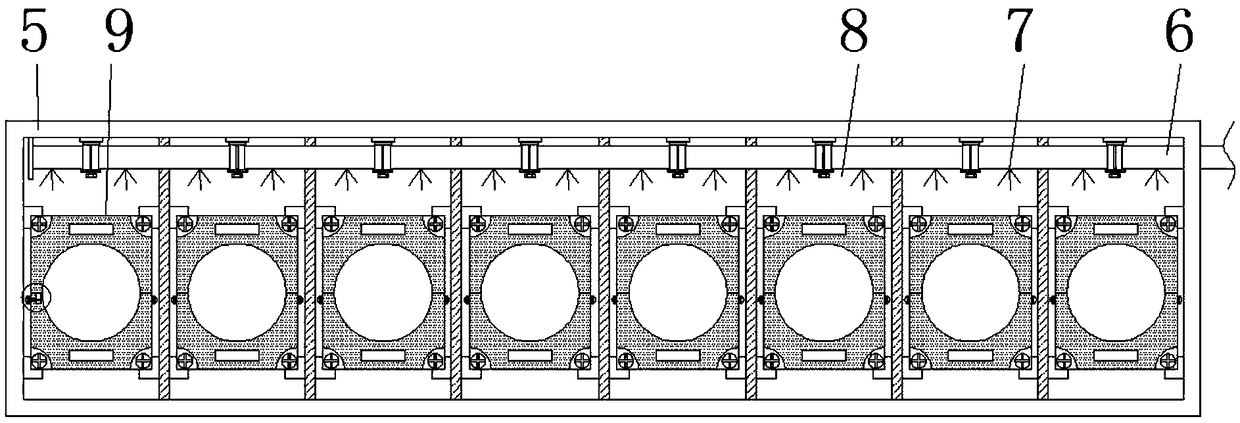 Soilless seedling raising system and method for pineapple