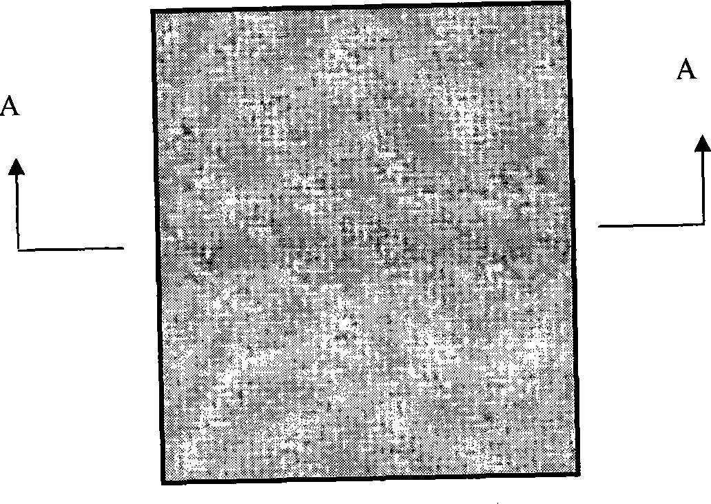 EHD intensification minitype heat radiating device