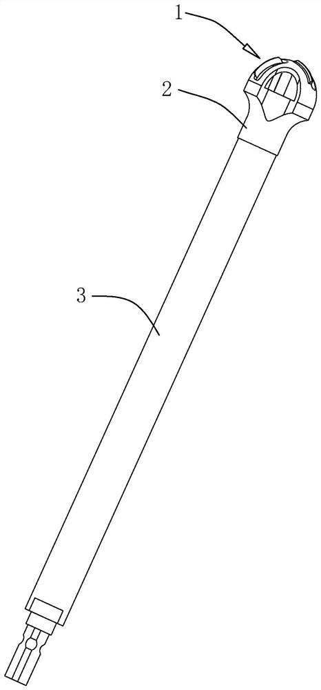 Articular fossa file