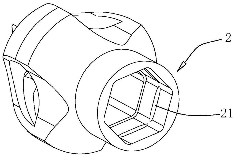 Articular fossa file