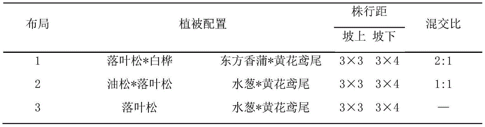 Configuration method of in-situ ecological purification system for river and lake water