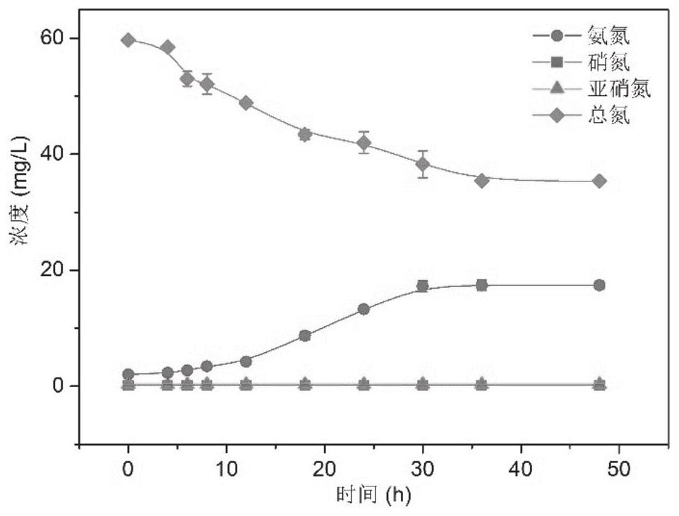 Marine self-flocculating bacterium, halophilic nitrogen assimilation microbiome driven and developed by marine self-flocculating bacterium, and construction method and application of halophilic nitrogen assimilation microbiome