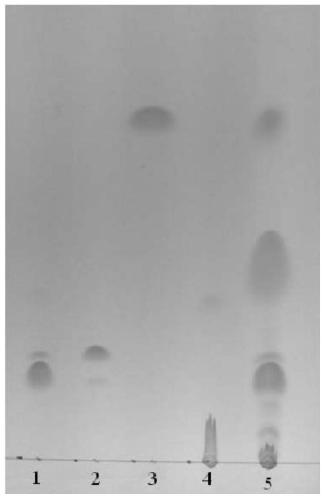 A kind of phospholipase c expressed by Cladosporium and its producing strain