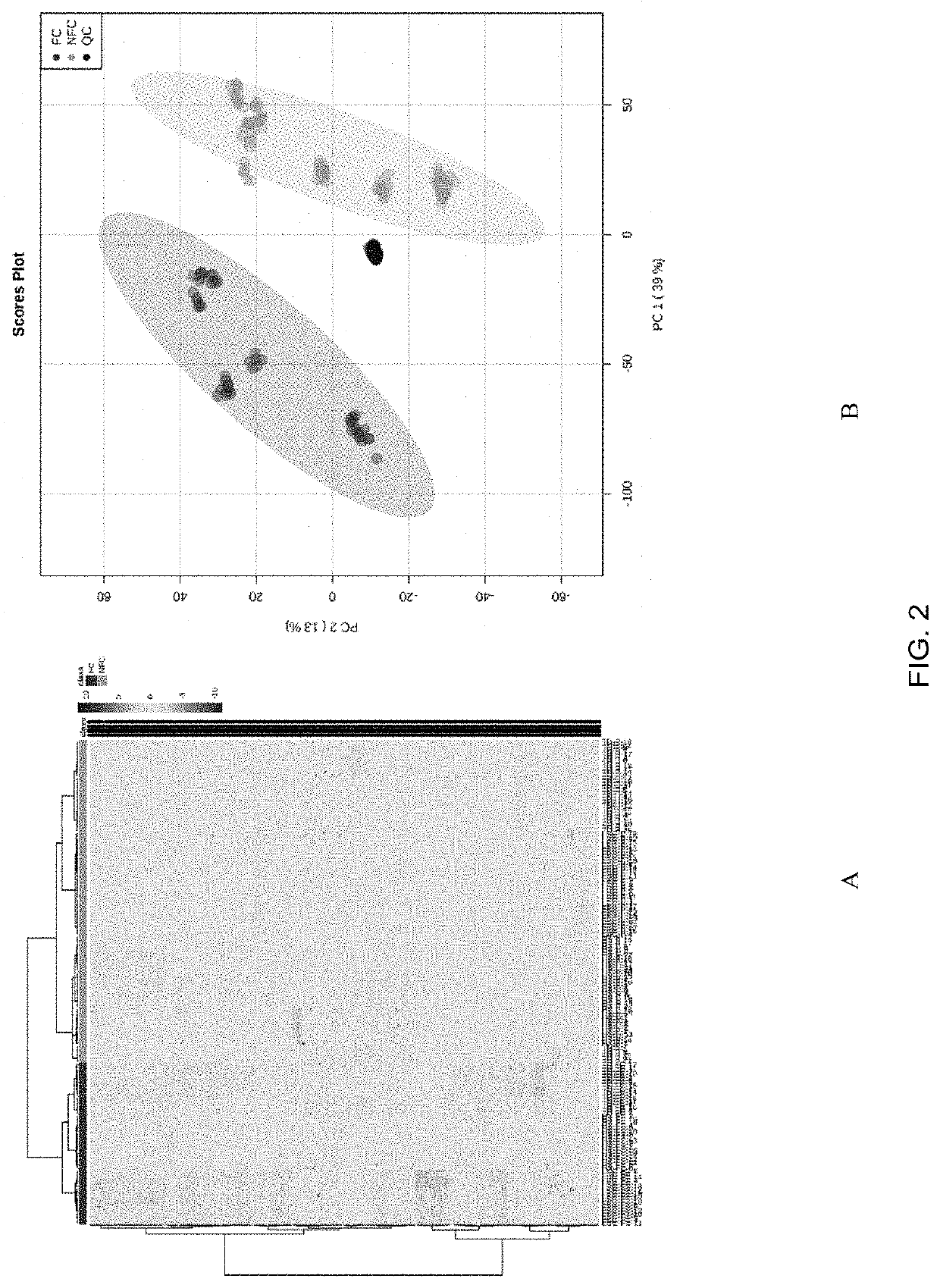 Marker for screening and identifying not-from-concentrate apple juice based on non-targeted metabolomics and use thereof