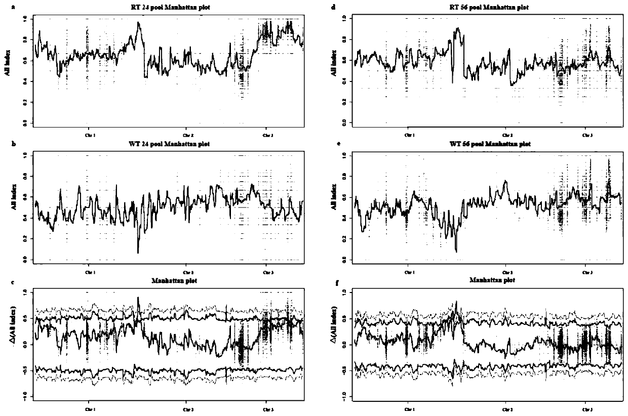 Method for quickly and accurately positioning chromosomes of laver economic traits and application