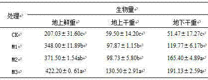 Method for improving drought resistance of field turf by adopting drought tolerance-reinforced active nanometer waste compost