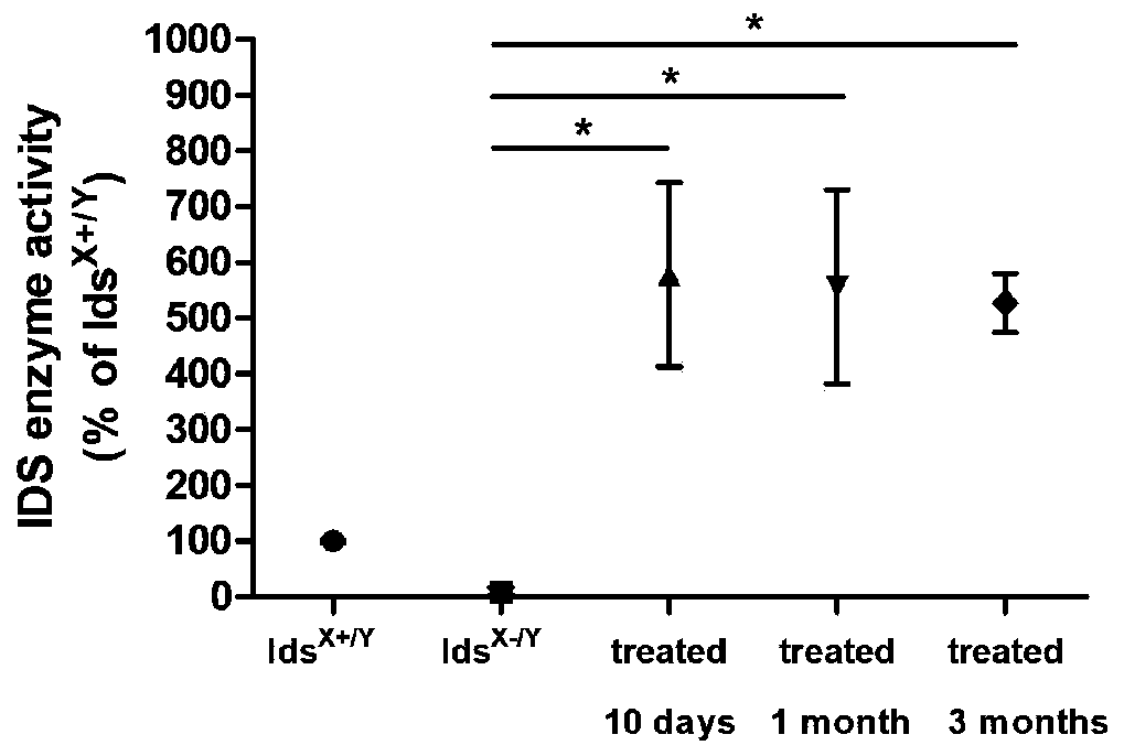 AAV double-vector gene treatment system and application thereof to treatment of type II MPS