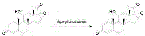 Preparing method of 11alpha-hydroxy-16alpha, 17alpha-epoxy progesterone dehydrogenation substance