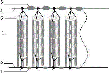 Intensive ecological culture method for trachidermus fasciatus