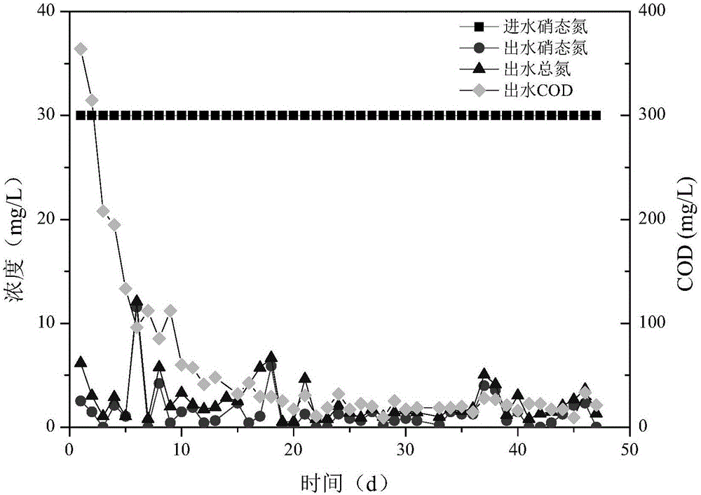 Method for enhancing biological denitrogenation effect of constructed wetland