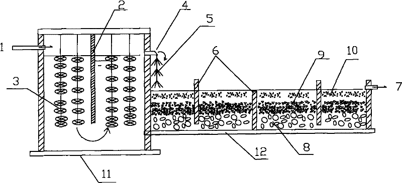 A Constructed Wetland System for Strengthening Nitrogen and Phosphorus Removal