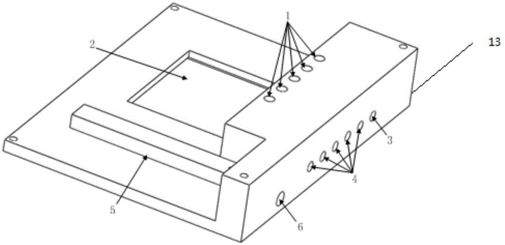 Small multi-purpose cell culturing and testing device