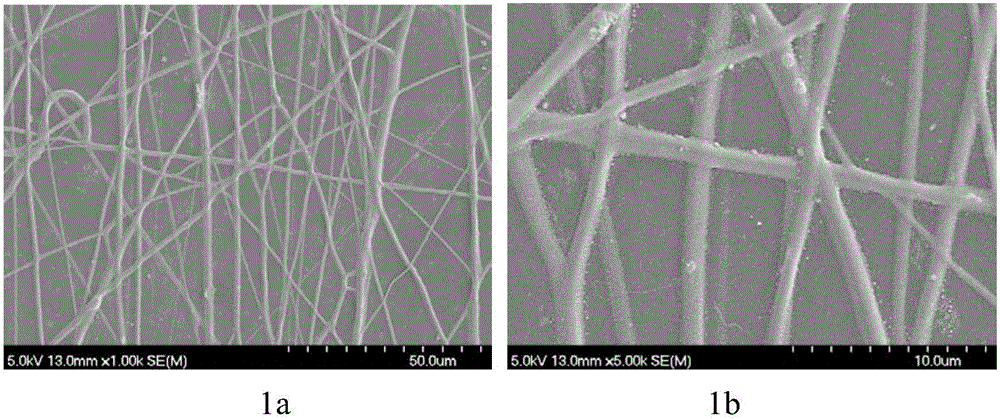 Conductive nanofiber and preparation method and application thereof