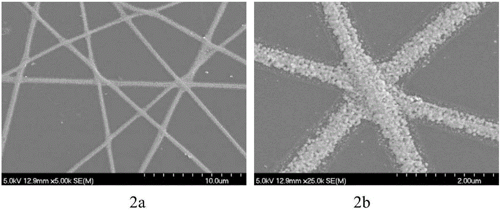 Conductive nanofiber and preparation method and application thereof