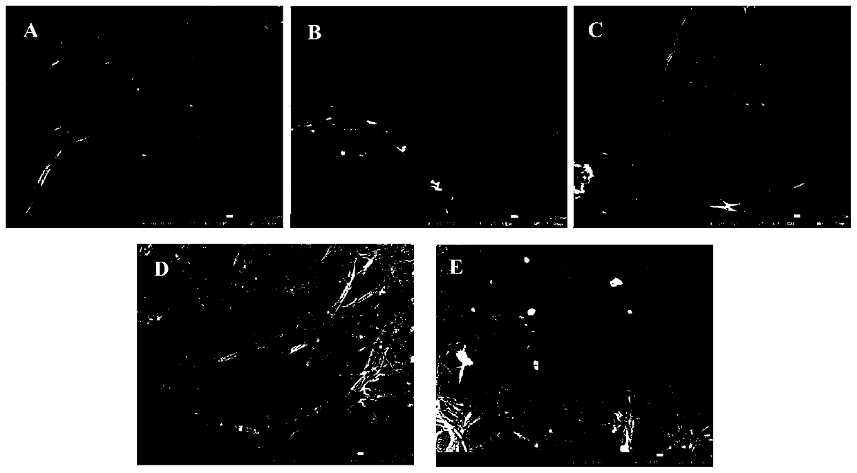 Preparation method of lignocellulose nanofibers