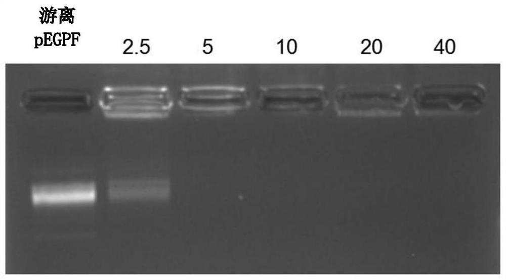 Brain-glioma-targeting therapy gene delivery vector and delivery system