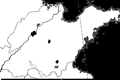 Numerical weather forecast and lattice point objective forecast product optimization method