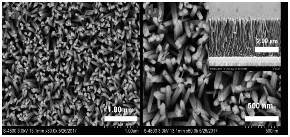 a kind of al  <sub>2</sub> o  <sub>3</sub> -ag@tio  <sub>2</sub> Nanorod photoanode composite material and preparation method thereof