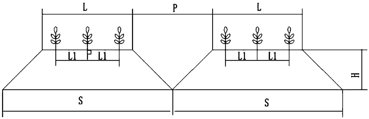 Soybean cultivation method for arid area