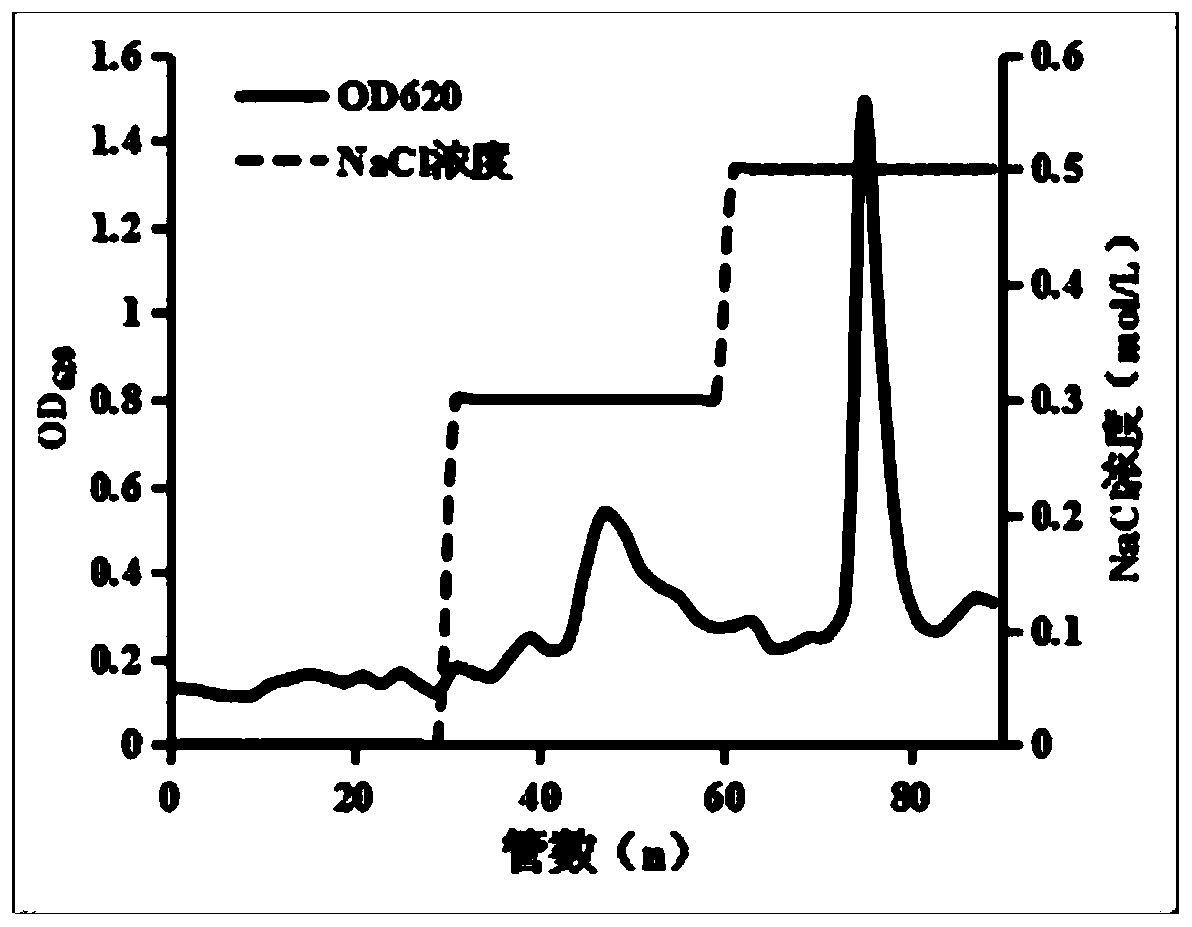 Extracellular polysaccharide complex of Chlorella protothecoides with immunity regulation activity, and preparation method and application thereof