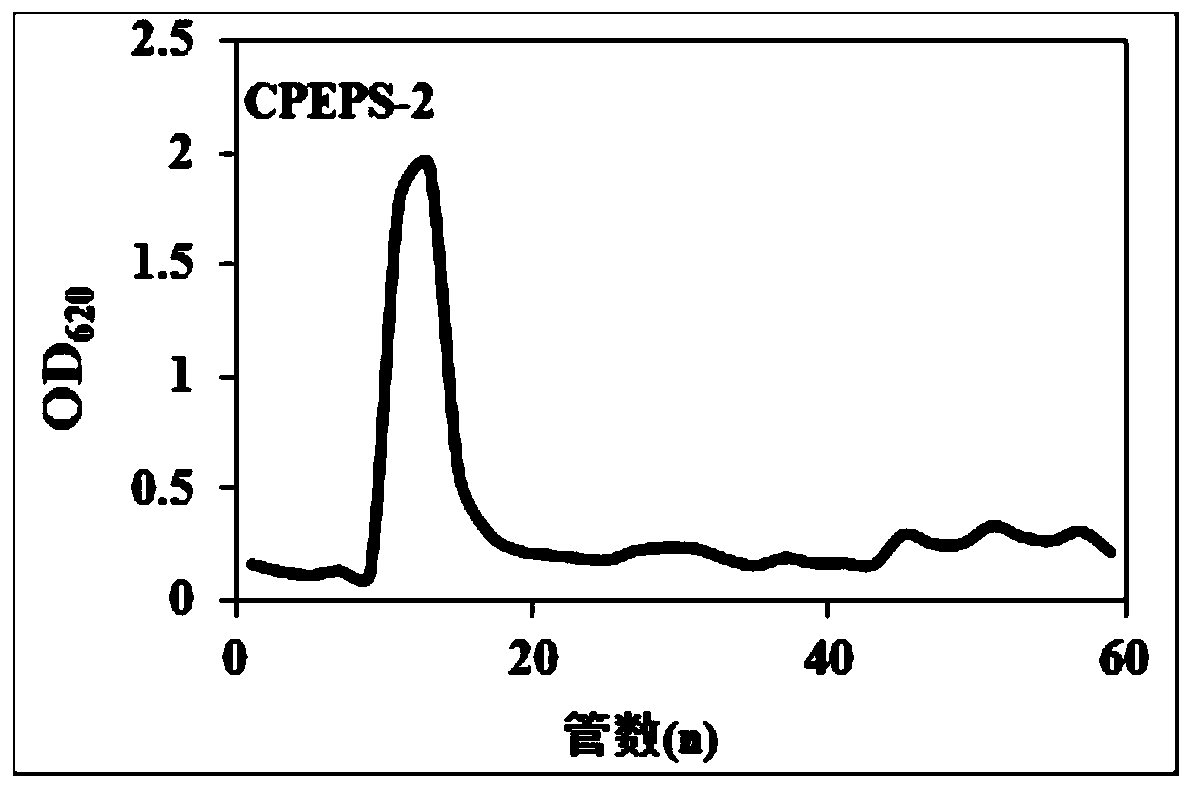 Extracellular polysaccharide complex of Chlorella protothecoides with immunity regulation activity, and preparation method and application thereof