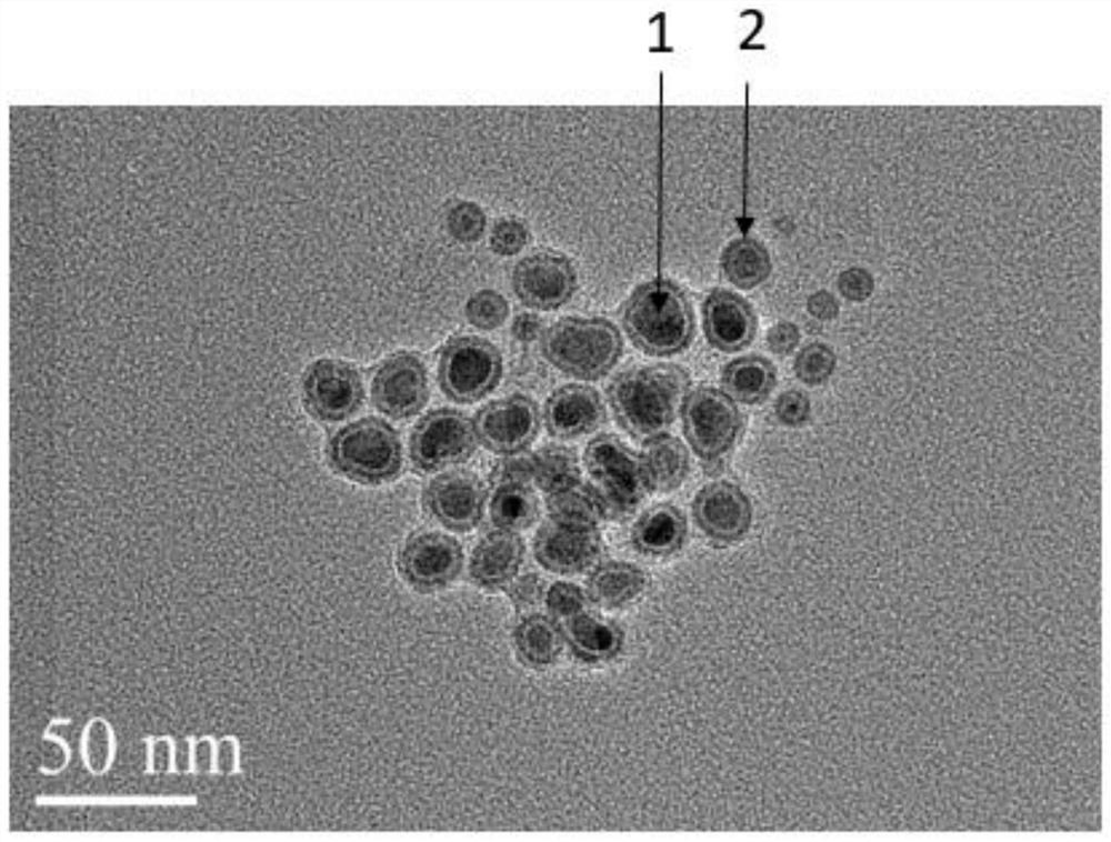 l10-fept@ptbi2/bi core-shell nanoparticles and its one-step synthesis