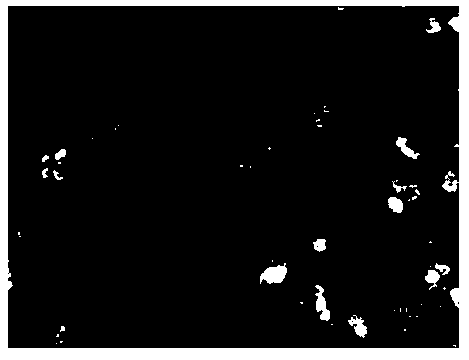 Hydrothermal synthesis method for positive pole material lithium manganese phosphate nanoparticles of lithium-ion batteries