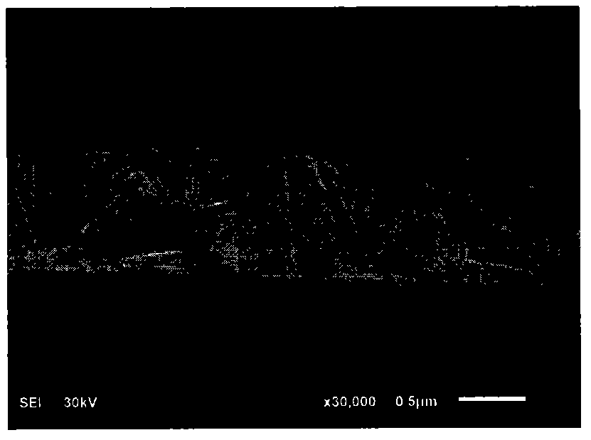 Preparation method of high-orientation nanometer hydroxyapatite crystalline colloidal array