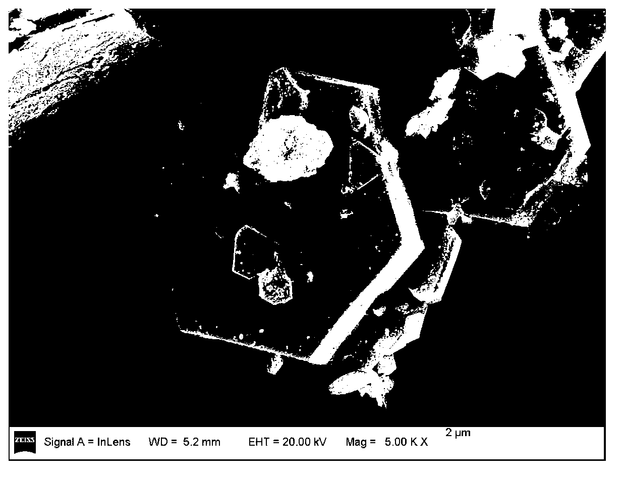 Polyacid micro/nano-crystal fluorescent film with crystal orientation and preparation method thereof