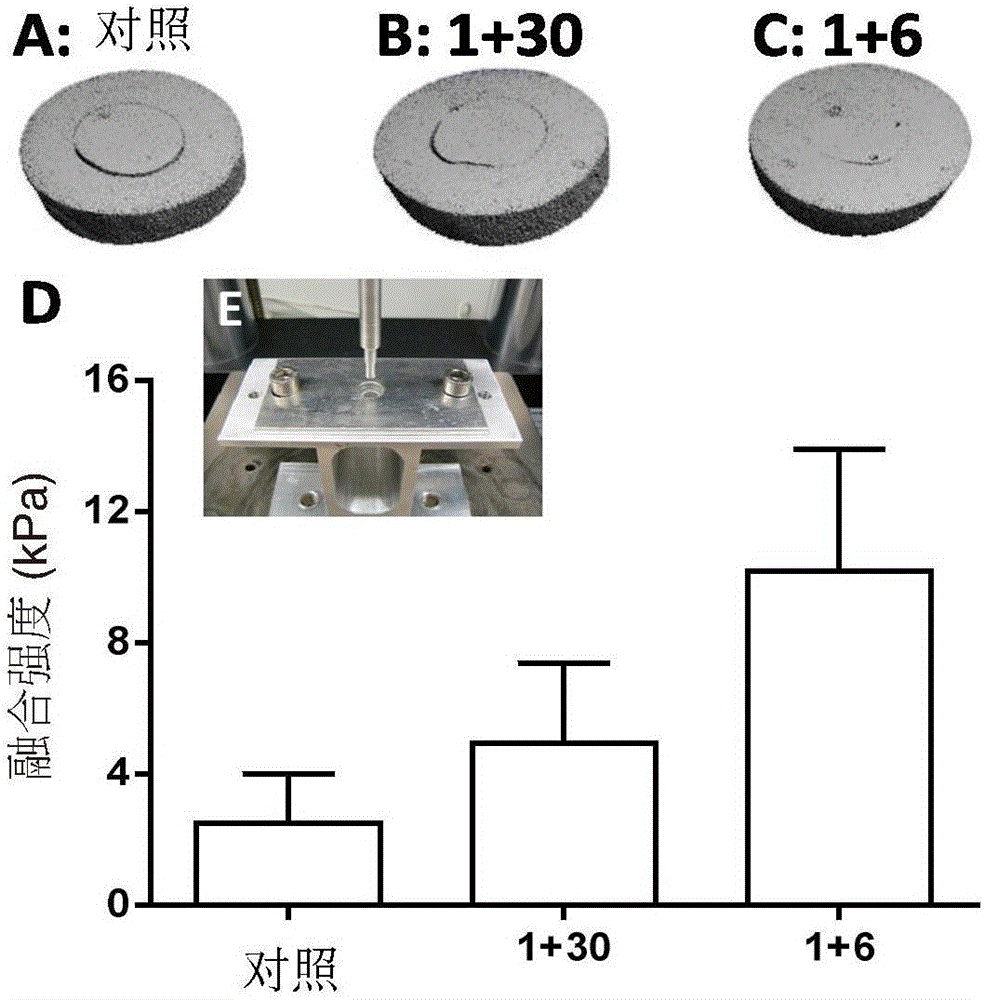 Fgf-18 in graft transplantation and tissue engineering procedures