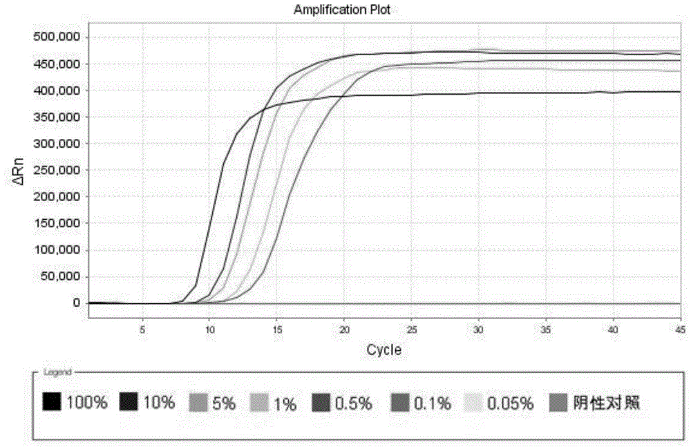 Isothermal amplification detection primer of Macadamia allergens, kit and method thereof