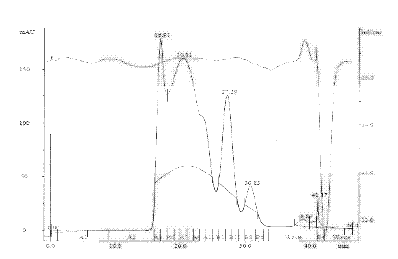 Experimental technology for Fc segment fusion gene (VEGF165-Fc) of recombinant human vascular endothelial growth factor 165 and immune globulin