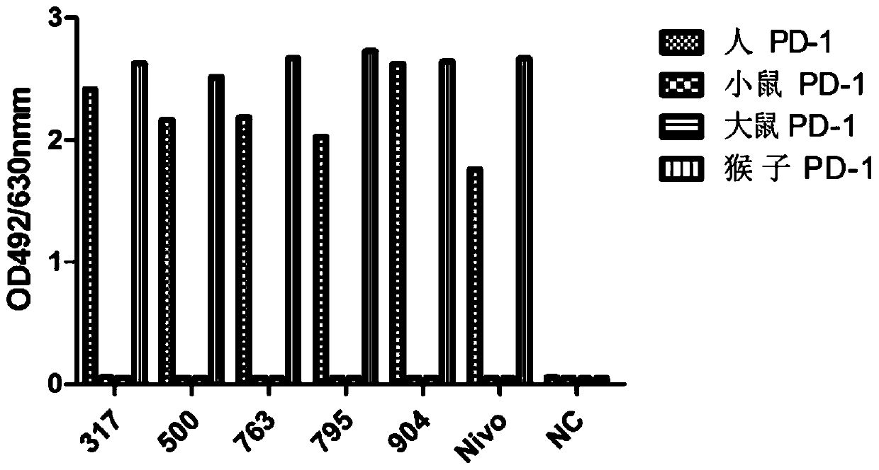 Recombinant human PD-1 antibody and application thereof