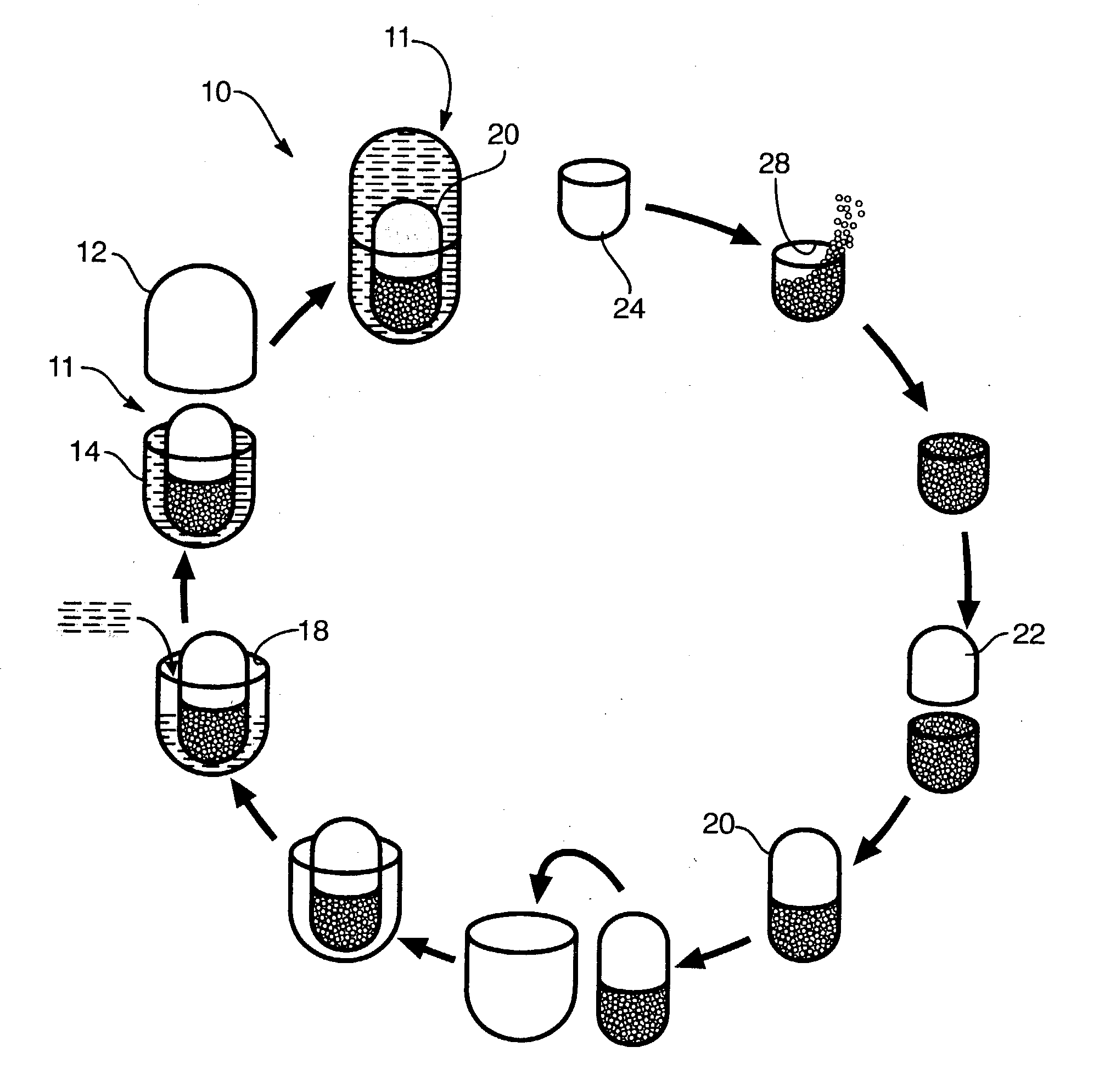 Multi-phase,multi-compartment capsular delivery apparatus and methods for using same