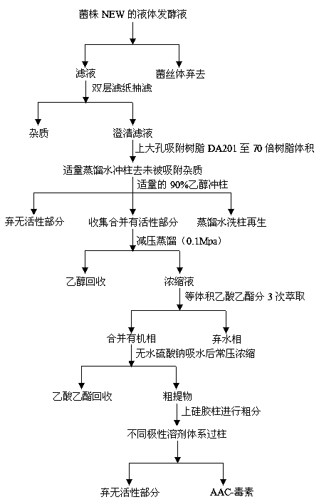 Compound biological herbicide and application method thereof