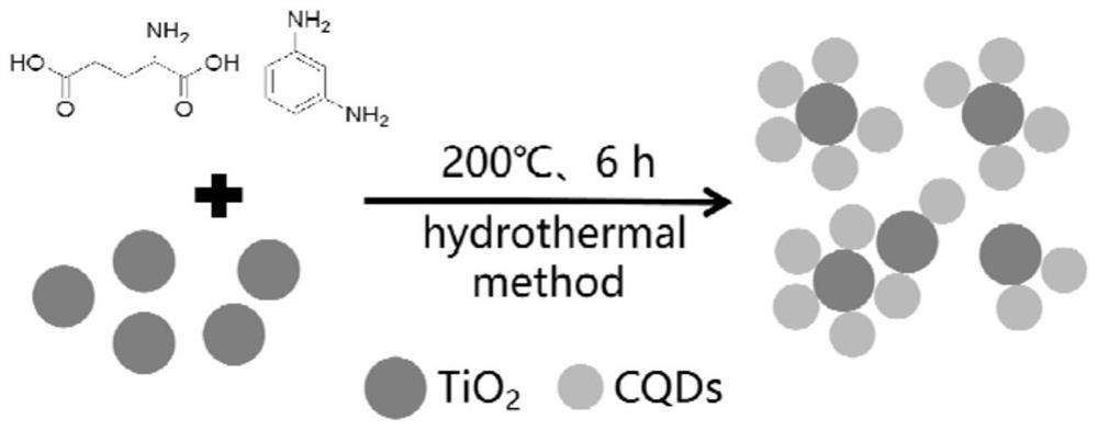 Carbon quantum dot, carbon quantum dot-titanium dioxide composite material and preparation method thereof