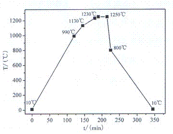 Magnesian ceramic blank, magnesian ceramic and preparation method thereof