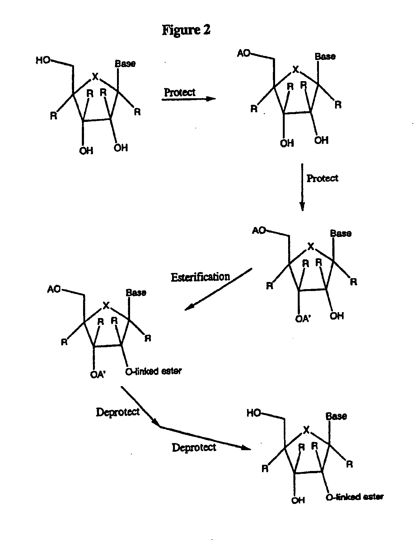 Modified 2' and 3'-nucleoside prodrugs for treating Flaviviridae infections