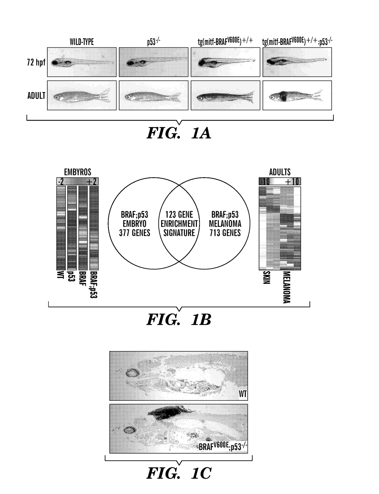 Methods for treatment of melanoma