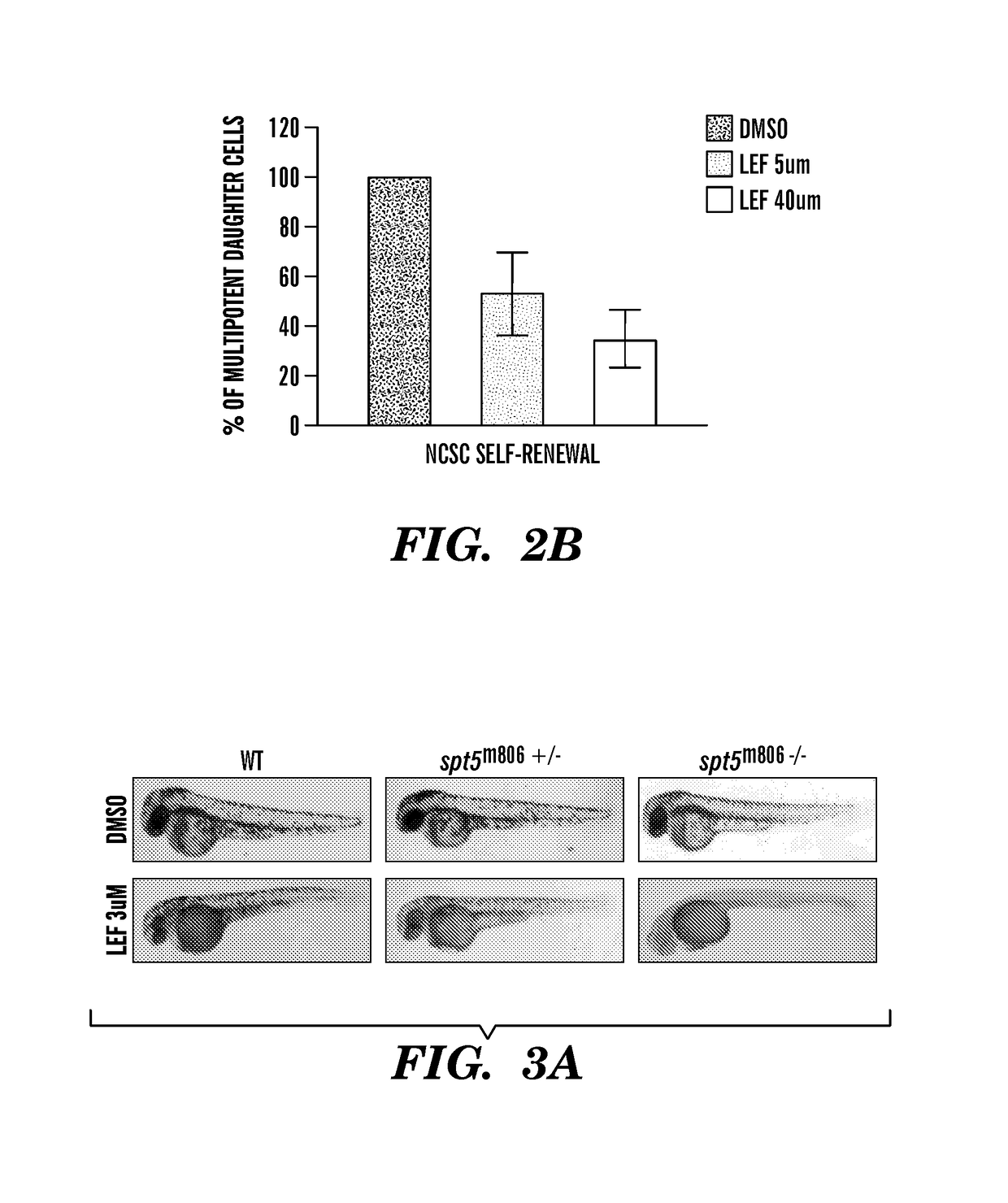 Methods for treatment of melanoma